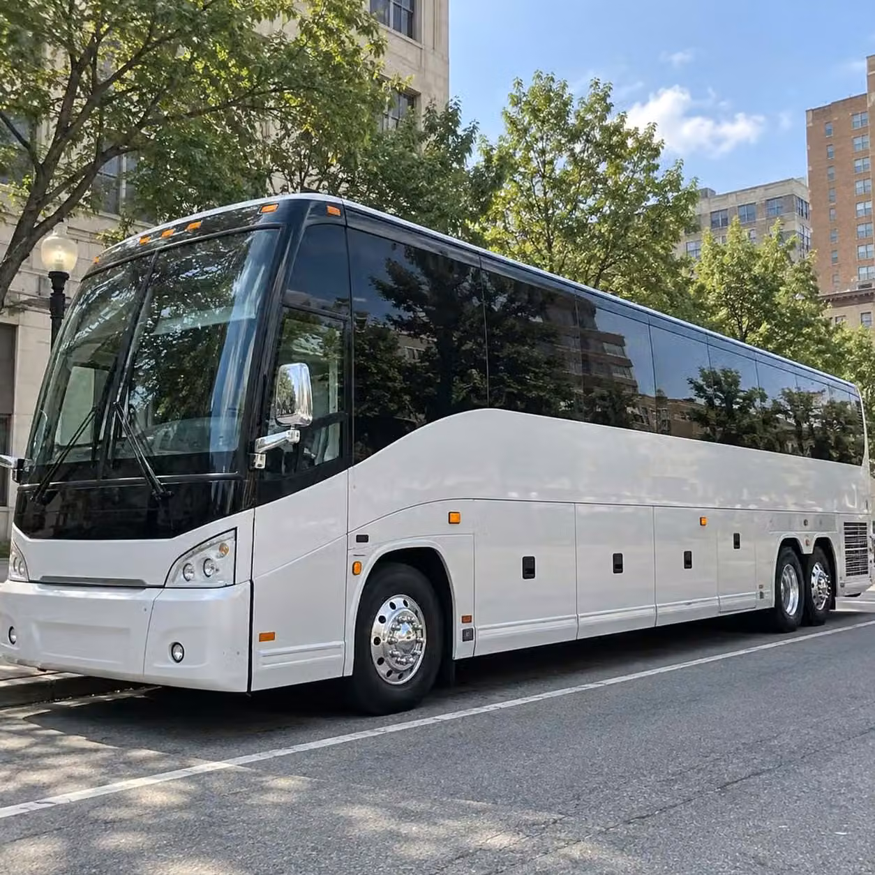 miami lakes full size 56 passenger charter buses for large miami lakes guest lists